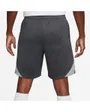 Short Homme LFC M NK DF STRK SHORT KZ Gris