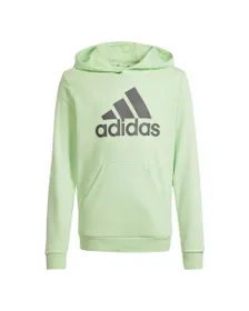 Sweat à capuche Enfant U BL HOODIE Vert