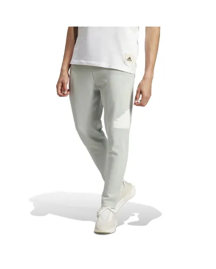 Pantalon de survetement Homme M FI BOS PT Gris