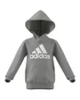 Sweat a capuche manches longues Enfant LK BL FT HD Gris