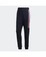 Pantalon de sport homme MHE PNT GFX Bleu