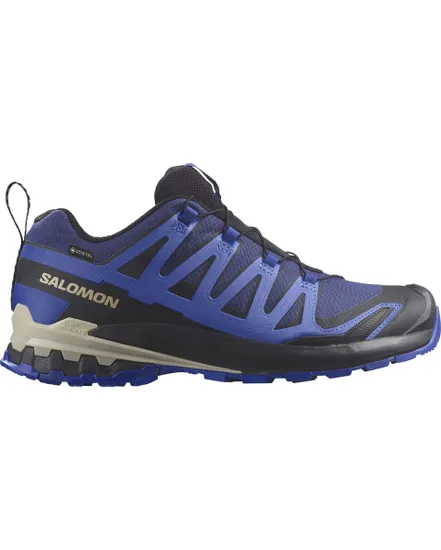 Chaussures de trail Homme SHOES XA PRO 3D V9 GTX Bleu