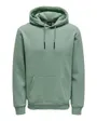 ONSCERES HOODIE SWEAT NOOS