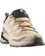 Chaussures de trail Femme SHOES XA PRO 3D V9 GTX W Beige
