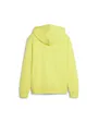 Sweat à capuche Enfant B PP GRAF HDY TR Vert