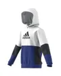 Sweat à capuche Enfant U CB HOODIE Blanc