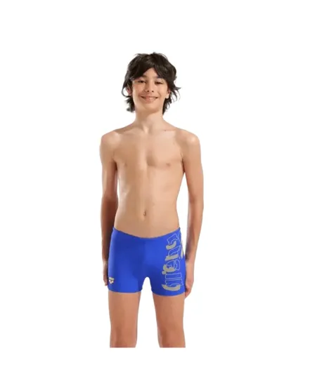 Short De Bain Garçon Arena Tales