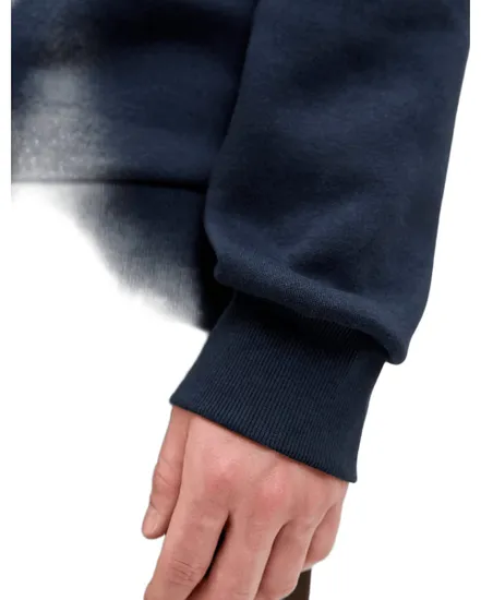 Sweat à Capuche Homme JJELOGO