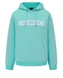 Sweat à capuche Homme CHABRAND