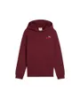 Sweatshirt À Capuche Garçon ESS 2 Color Small No