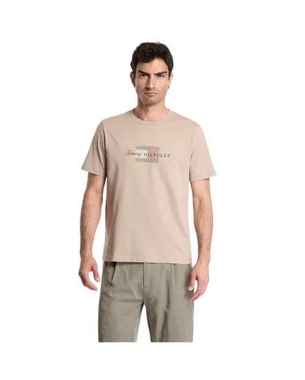 T-shirt Homme Script Flag Regular
