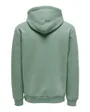 ONSCERES HOODIE SWEAT NOOS