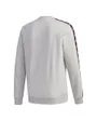 Sweatshirt homme M E TPE SWT Gris