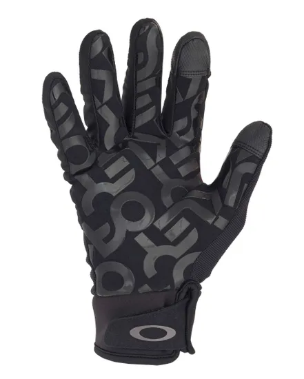 Gants de ski Homme FACTORY PILOT CORE GLOVE Noir