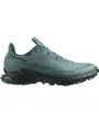 Chaussures de trail Homme SHOES ALPHACROSS 5 GTX Bleu