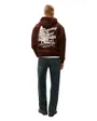 Sweat à capuche Homme RLX NOVELTY GRAPHIC HOODIE Marron