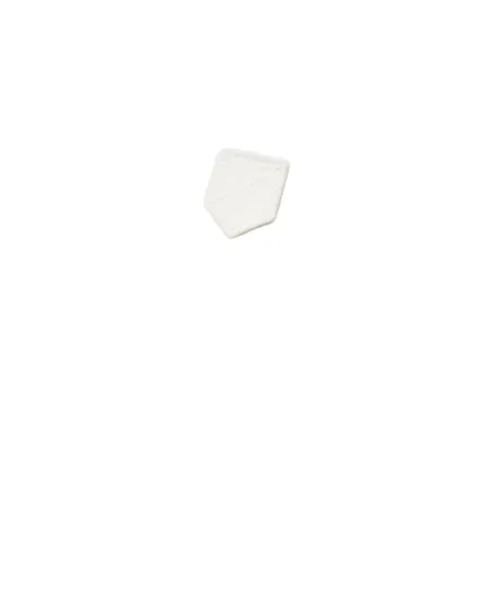 Polo Homme JPRCCRODNEY LS