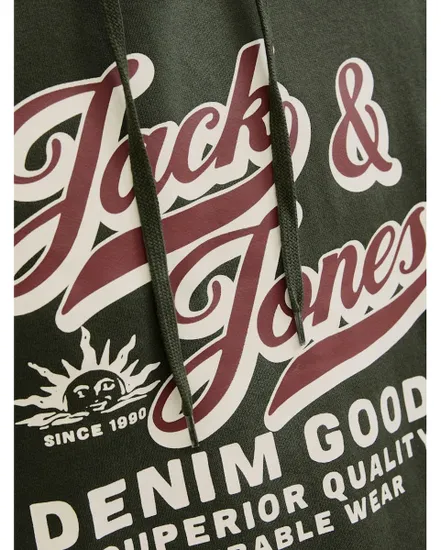 Sweat à capuche Homme JJELOGO SWEAT HOOD 2 COL 25/26 NOOS Vert