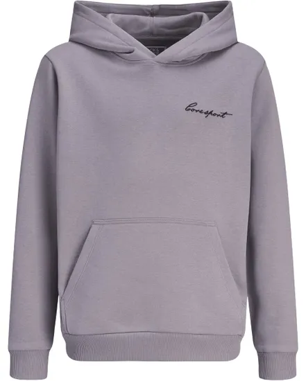 Sweat À Capuche Garçon Jcodust Script Sweat Hood Sa26 Jr
