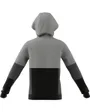 Sweat à capuche enfant Enfant U CB FZ HOODIE Gris