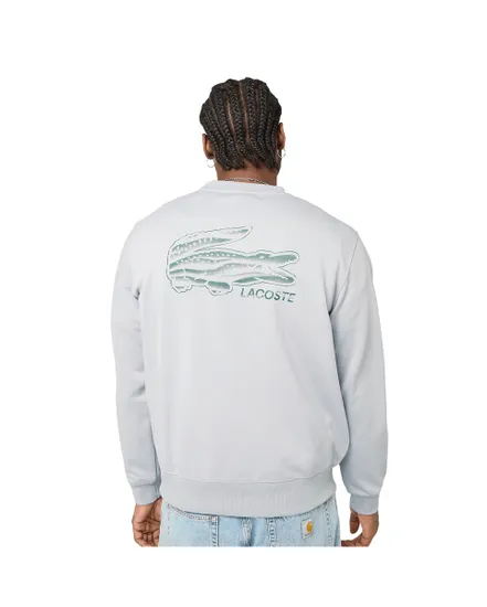Sweat Homme Urbain Lacoste