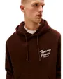 Sweat à capuche Homme RLX NOVELTY GRAPHIC HOODIE Marron