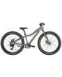 VTT Enfant ROXTER 24 Argent