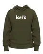 Sweatshirt Femme GRAPHIC STANDARD HOODIE Vert