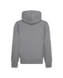 Sweat à capuche Enfant plus agé JDB MJ BROOKLYN FLC PO Gris