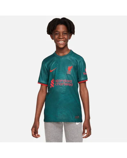 Maillot de football Enfant plus âgé LFC Y NK DF STAD JSY SS 3R Vert