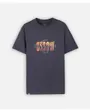 Tee-shirt manches courtes DELUSION