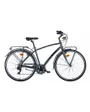 Vélo urbain Homme LUNAPIENA TY-300 3X7V STI Argent Mat