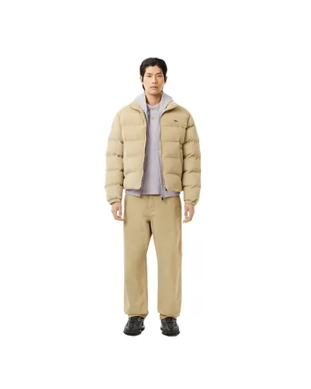 Polo Homme Manches Courtes Lacoste