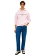 Sweat à Capuche Homme Tommy Logo Hoody