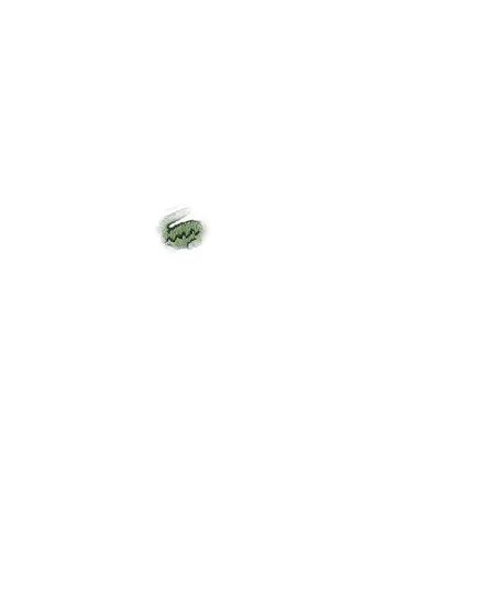 Bonnet Homme Lacoste Coton