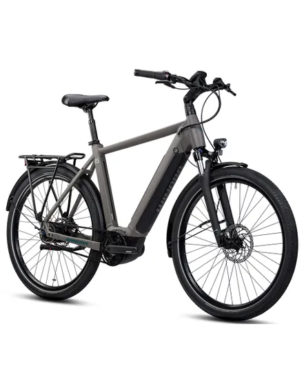 Vélo électrique urbain Homme SINUS R5F GENT Marron