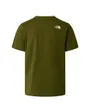 Tee-shirt Homme Mountain Line Regular Graphic