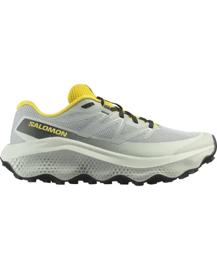 Chaussures de trail Homme SHOES ULTRA FLOW 2 Gris