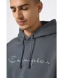 Sweat à capuche Homme Gris