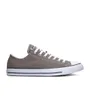 Chaussures Unisexe Chuck Taylor All Star Gris