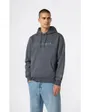 Sweat à capuche Homme Gris