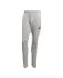 Pantalon de survetement Homme M GG 3BAR PT Gris