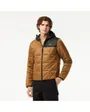 Doudoune à capuche Homme CORE ESSENTIALS Marron