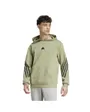 Sweat à capuche Homme M FI 3S HD Vert