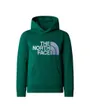 Sweat à capuche Enfant B DREW PEAK P/O HOODIE Vert