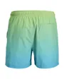 Short de Bain Homme Maui Horizon