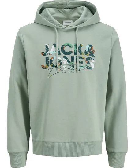 Sweat À Capuche Homme Jjgeplas