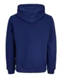 Sweat À Capuche Homme Jorbleecker Branding BF