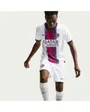 Maillot Homme PSG M NK DF JSY SS STAD AW Blanc