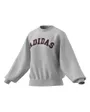 Sweat Femme W FL SWT Gris